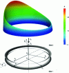 Figure 11 - Friction faces and dimensionless pressure field created by axial translation speed of stator face