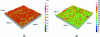 Figure 16 - Topography of packing faces after 124 h of operation a) carbon rotor b) silicon carbide stator. Measurements were taken using white-light interferometry.