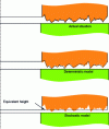 Figure 17 - Different approaches to lubrication between rough surfaces