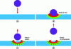 Figure 12 - Illustration of residual stresses after shot peening [23].