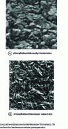 Figure 34 - Zinc phosphate coatings on steel, by immersion or spraying