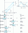 Figure 28 - Illustration of fastener behavior with adhesion and friction (equivalent mechanical model)