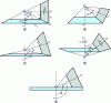 Figure 1 - Primitive cones