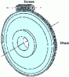 Figure 6 - Worm gear