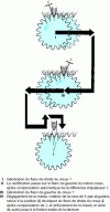 Figure 18 - Hofler grinding cycle