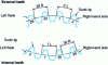 Figure 5 - Definition right flank, left flank