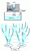 Figure 19 - Contact zones