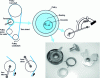 Figure 13 - ABTU automatic mechanical tensioner components (automotive application)