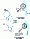 Figure 15 - Introducing a freewheel on a tensioner (automotive application)