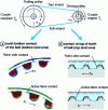 Figure 24 - Active and retro sides: case t'p= tb