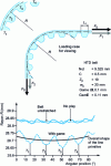 Figure 3 - Numerical simulation of meshing