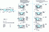 Figure 21 - Loading of timing belt teeth