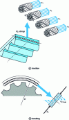 Figure 5 - Simple calculation of tensile stresses in toothed belt cords