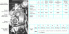 Figure 22 - Definition of input data for simulation and experimental validation