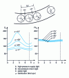 Figure 48 - Distribution blind spot. Influence on leakage and hydrostatic thrust.