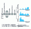 Figure 8 - Frequency analysis of an accelerometer signal