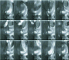 Figure 21 - Video sequence between two chip fragmentations (Source: LaMCoS laboratory, INSA Lyon)