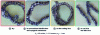 Figure 14 - Ti64 alloy machining chips