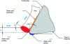 Figure 7 - Cutting metal material in a plane normal to the cutting edge