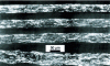 Figure 12 - Effect of moistening and rewetting. Cross-sectional views of SC paper. Top: unmoistened paper. Middle top: paper humidified at 75% RH for 8 hours. Bottom middle: paper humidified at 97% RH for 8 hours. Bottom: rewetted paper. 