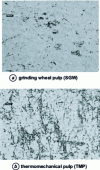 Figure 16 - Influence of pulp type on layer coverage of backing papers. Comparative papers (40 g/m2 and 8 g/m2 coating weight) 