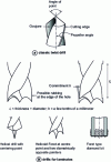 Figure 5 - Drill types