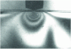 Figure 2 - Field of stresses generated beneath the glass surface during wheel loading (polarized light [37])