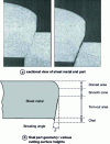 Figure 2 - Cut edge appearance