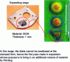 Figure 22 - Example of an expanding range [9].