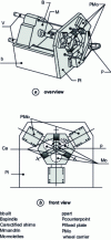 Figure 11 - Three-wheel Fluotour