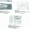 Figure 14 - Microstructural condition corresponding to good flowability