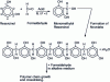 Figure 8 - Chemical reactions of resorcinol-formaldehyde adhesives