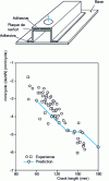 Figure 15 - Measured and predicted values for fatigue crack length growth of a "hat" assembly (from [59])