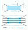 Figure 8 - Isopotential lines (top) and electric current density (bottom) 