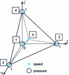 Figure 8 - P1+/P1 reference tetrahedron [19]