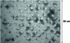 Figure 3 - Numerous flashes visible on the surface of spot-welded organically coated sheet metal