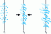 Figure 3 - Molecular interdiffusion adhesion