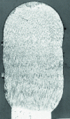 Figure 41 - Microstructure of base metal and laser cladding ( × 20,000)