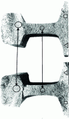 Figure 1 - Shock test reveals inclusionary lenses