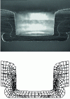 Figure 9 - 2D clinch mesh