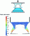 Figure 17 - Rivet flare test