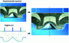 Figure 21 - Superposition of numerical and experimental cross-sections