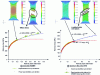 Figure 3 - Rational strain-hardening curves measured with an extensometer up to stricture and with image correlation beyond.