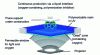 Figure 13 - Stereo-lithography using the Carbon3D process (based on [33] [34] with permission from Carbon3D)