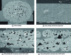 Figure 5 - Scanning electron microscope observation of a PHA/PLA-wood biocomposite filament before printing, after printing and thermocompression, and after printing at different extrusion rates (after [30]).