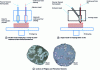 Figure 7 - Schematic representation of the double-nozzle FFF printing process employing a continuous-fiber-reinforced filament "ready–to print" and a single nozzle allowing in situ impregnation, and sections of PA/glass and PA/carbon filaments (from [36]).