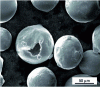 Figure 4 - SEM image of an atomized powder grain showing porosity within it