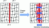 Figure 29 - Chemical cohesive method between voxels
of different natures [233] [234].