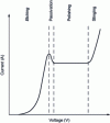 Figure 24 - Polarization curve