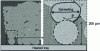 Figure 9 - Layer-by-layer deposition of molten ABS using the FDM process (image produced by X-ray microtomography)